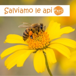 Salva Le Api